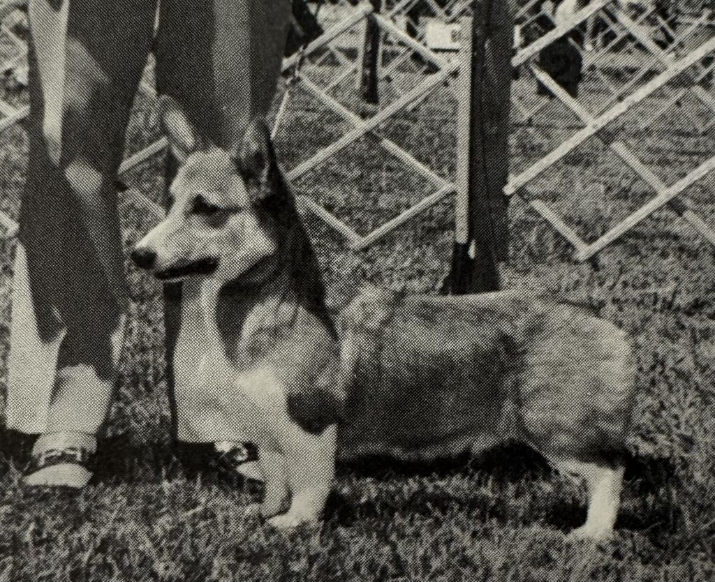 Cottleston Card Of Foxcovert
