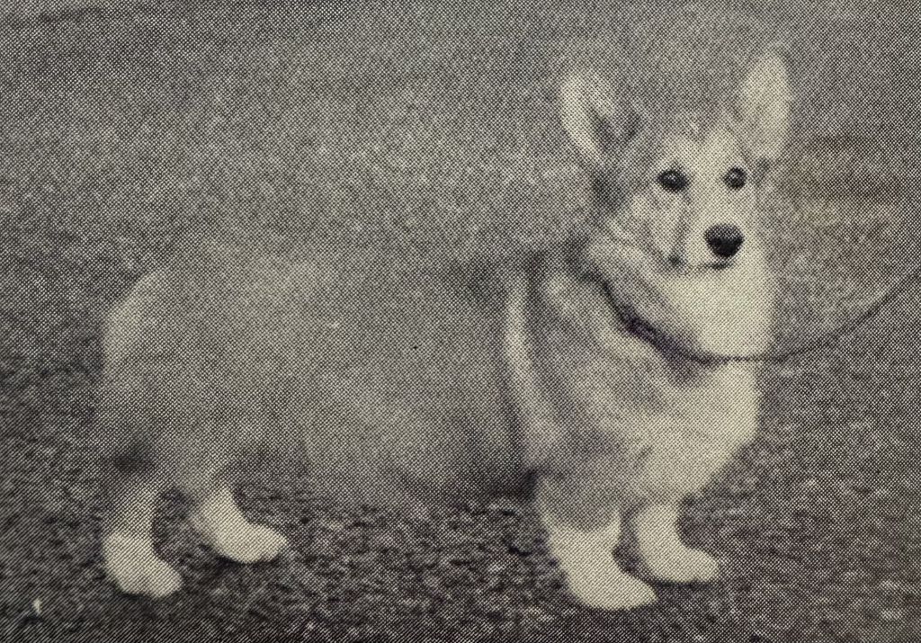 Gerona's Franjos Moonmist