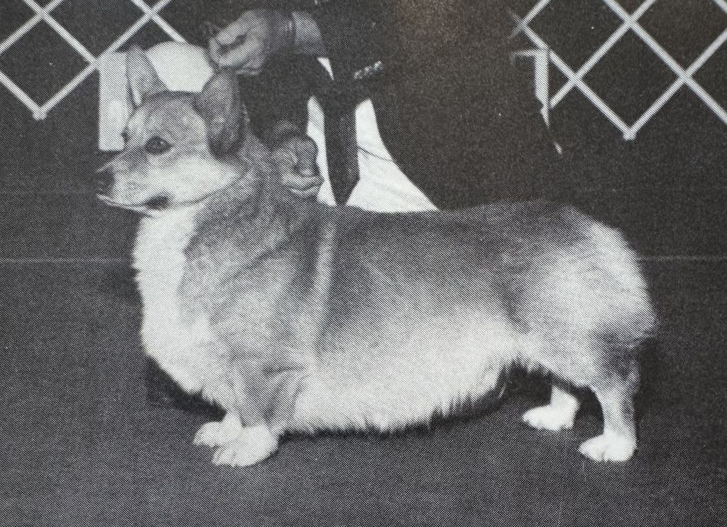 Clayview Smart Baron