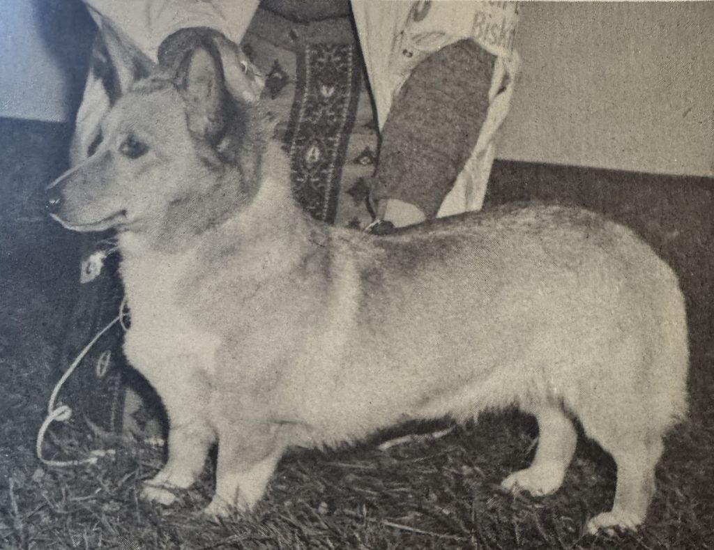 Cormanby Pert Princess